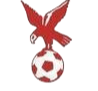 https://img.ydrskcc.com/img/football/team/4802d26df935b78bb2fcdbbff36e8864.png